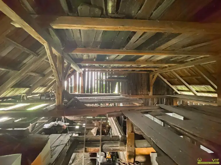 Großes Freiland-Grundstück mit Altbestand in Hochebenenlage bei Kammersberg.