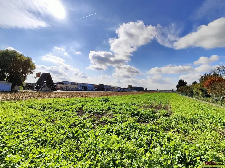 Attraktives Gewerbegrundstück südlich von Graz mit optimaler Anbindung.