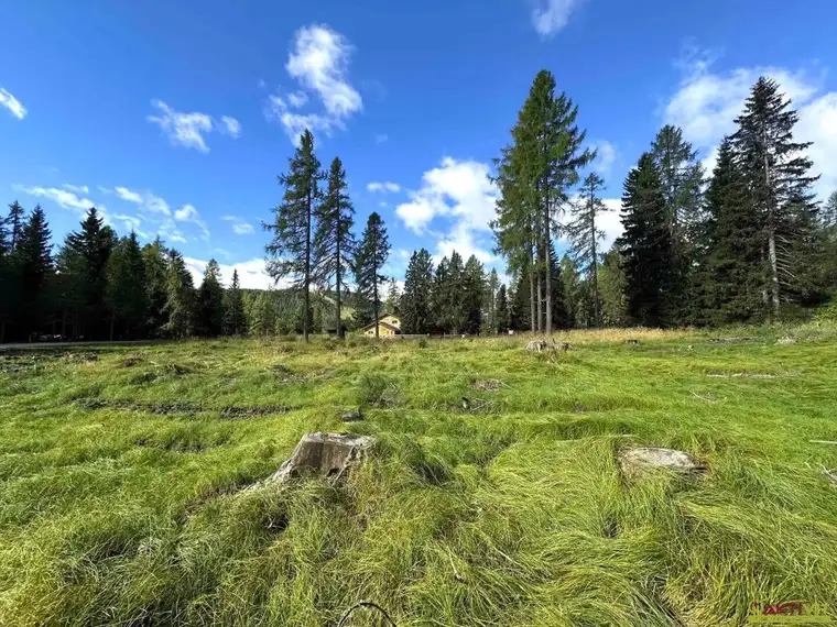 Großzügiges Grundstück im reinen Kurgebiet in Albeck - Region Hochrindl.