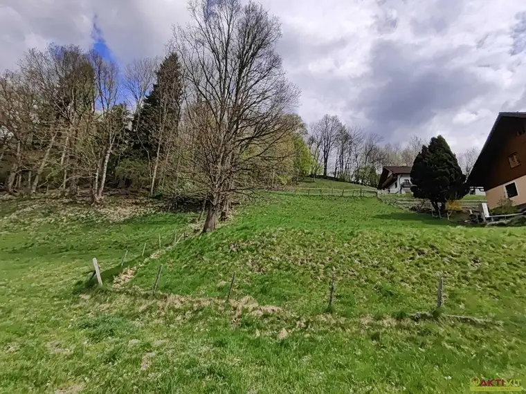 Wohnen in Ruhelage: Baugrundstück mit guter Infrastruktur in Niederöblarn.