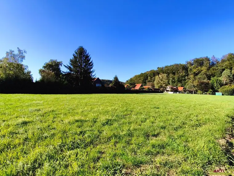 Zwei Baugrundstücke mit insgesamt 4.264 m² in ruhiger Wohnlage in Wildon.