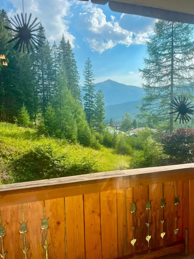 HOHENTAUERN am Triebener Tauern/Stmk.: Sommerfrische so wie früher 