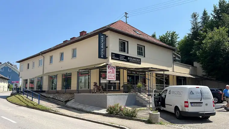 großzügige Wohnung im Zentrum - provisionsfrei