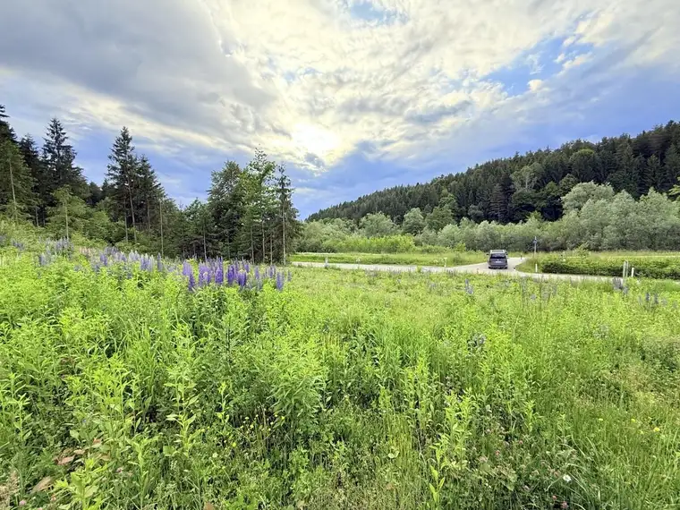 Ideales Grundstück für Ihr Wohnprojekt in der Gemeinde Velden am Wörthersee