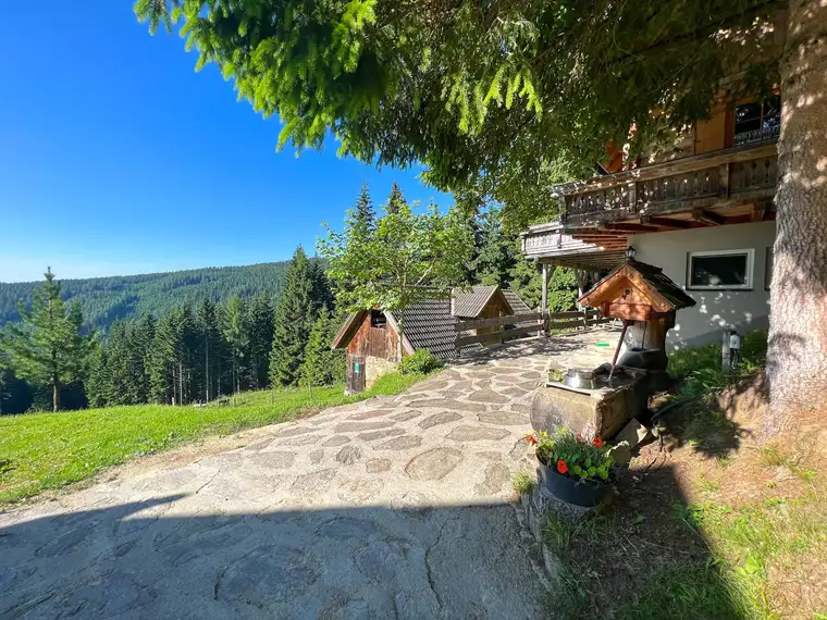 Zu vermieten: Gemütliches Ferienhaus auf der Alm (6001)