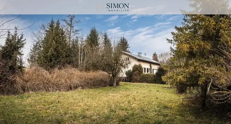 Simon Mayr-Reisch, Simon Immobilien GmbH
