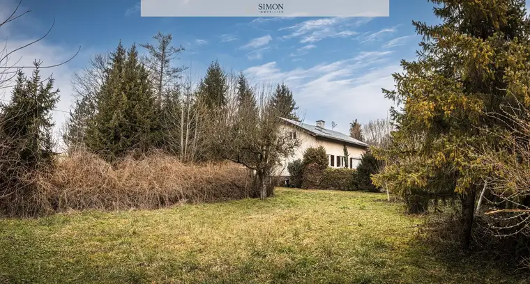 Simon Mayr-Reisch, Simon Immobilien GmbH