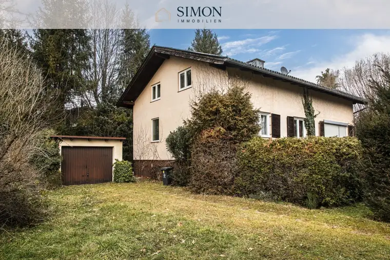 Simon Mayr-Reisch, Simon Immobilien GmbH