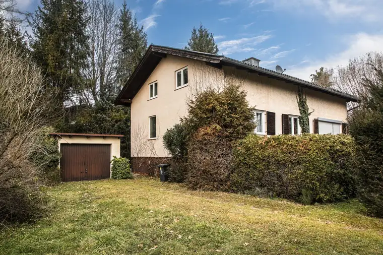 Simon Mayr-Reisch, Simon Immobilien GmbH