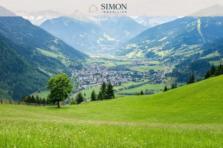 Simon Mayr-Reisch, Simon Immobilien GmbH