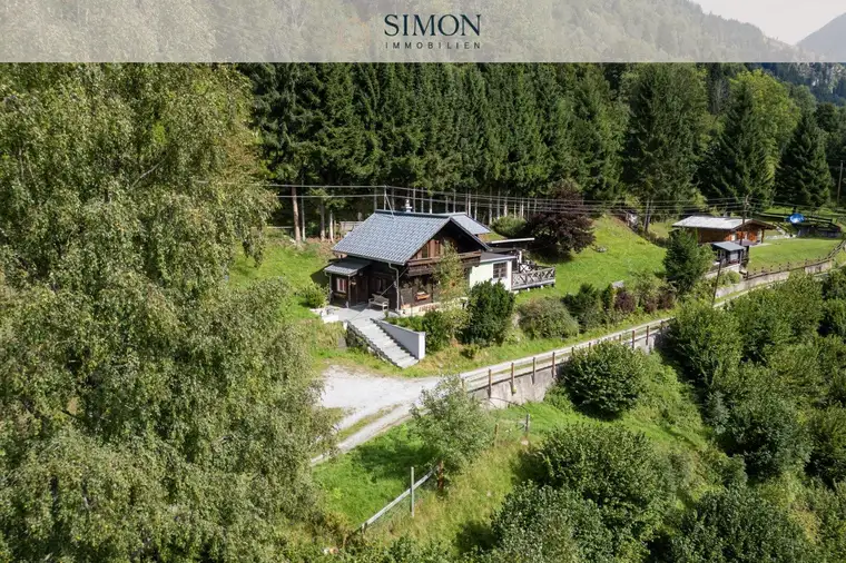 Simon Mayr-Reisch, Simon Immobilien GmbH