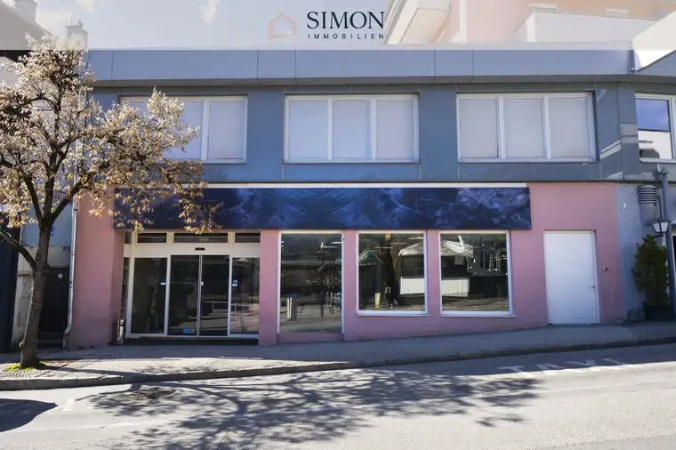 Simon Mayr-Reisch, Simon Immobilien GmbH