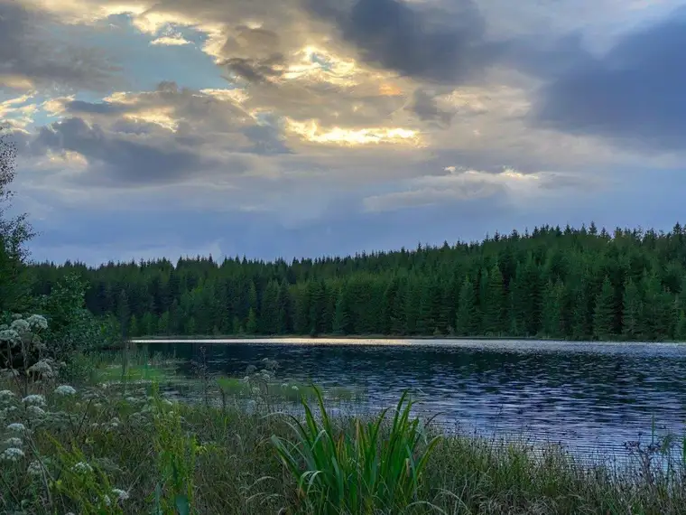 Absolute Rarität – Secret Escape mit Fischteich