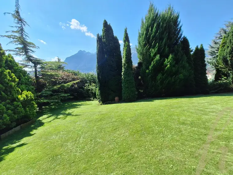 Petra Huber, Petra Huber