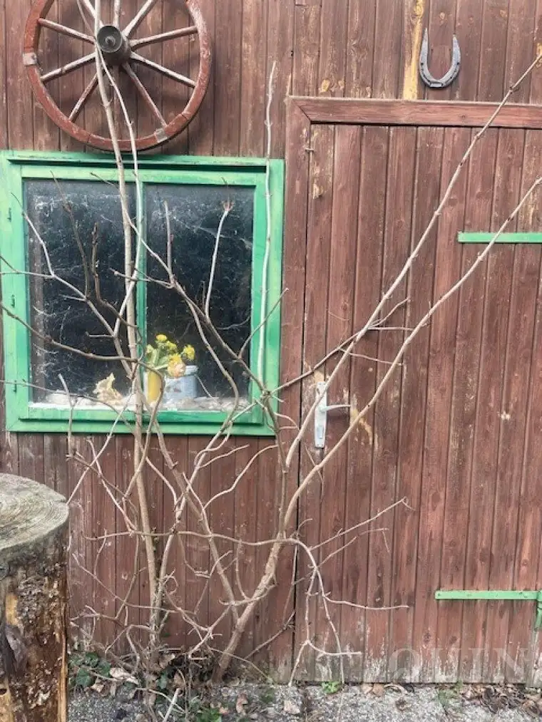 Traumhaftes baubewilligtes Baugrundstück in Brunn am Gebirge - Ihr Eigenheim erwartet Sie!