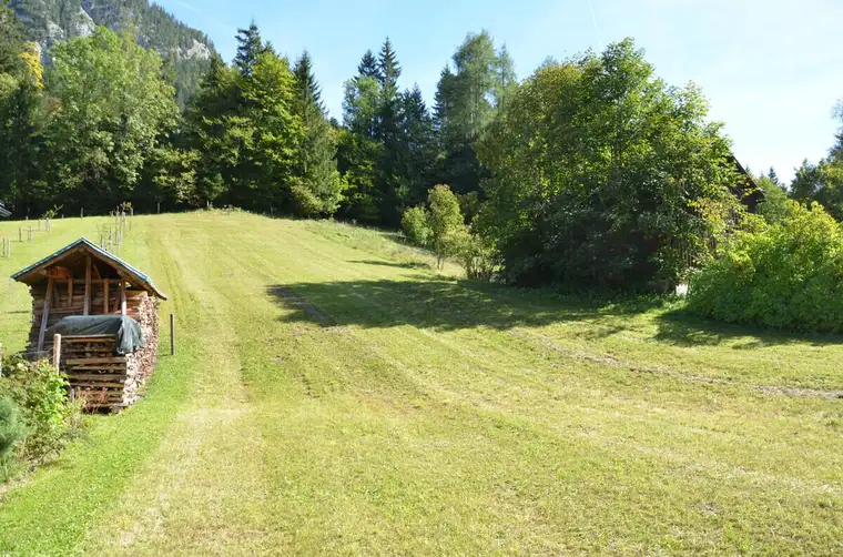 Sonniges Baugrundstück
