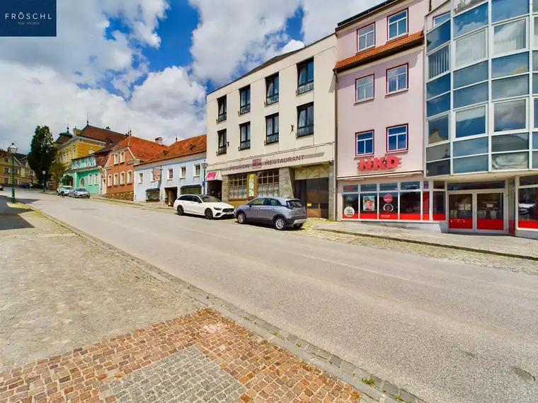 Christian Fröschl, Fröschl Real Estate OG