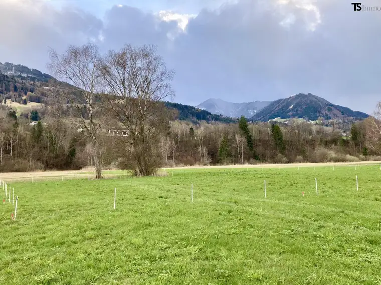 Nenzing Heimat: 600 m2 Sonnentraum mit Weitblick – Ihr Baugrundstück in Nenzing mit unverbaubarer Aussicht