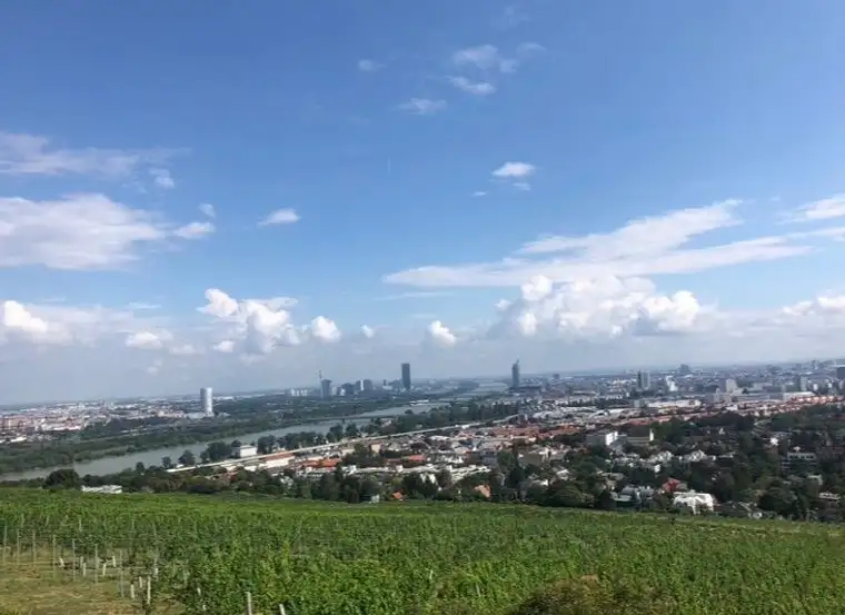 Rarität am Nußberg: 50% Miteigentumsanteil an Top-Ried „Mittlere Schoß“ (Gesamt 6.654 m²)