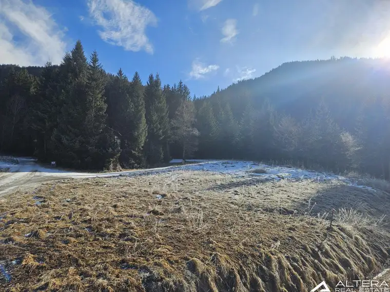 St.Georgen/Kreischberg! - Grundstück mit Abbruchhaus für Investoren!