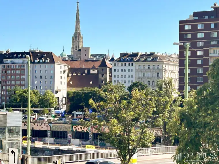 Lichtdurchflutete 2,5 Zimmer Wohnung in Topp Lage mit grosser Loggia und Grünblick auf Donaukanal!