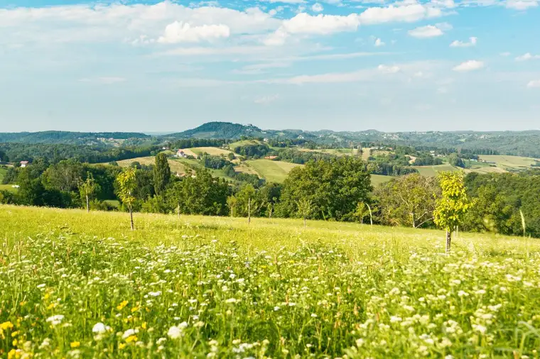 Landwirtschaftliches Anwesen im Rohbau – Gestalten Sie Ihre Zukunft