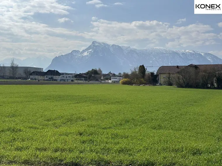 Sonniges Baugrundstück in Salzburg-Maxglan mit eigener Zufahrt