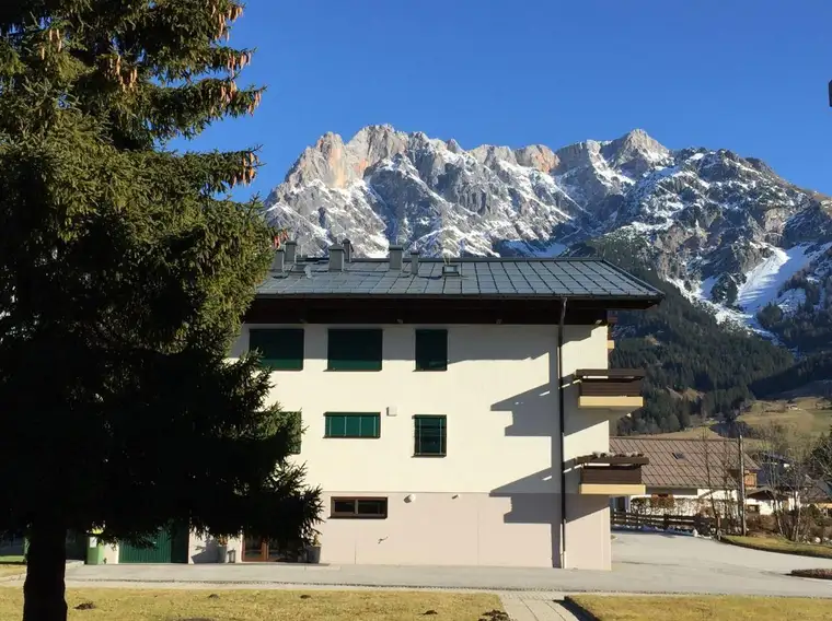 Claus Maxein, Elysee Immobilien