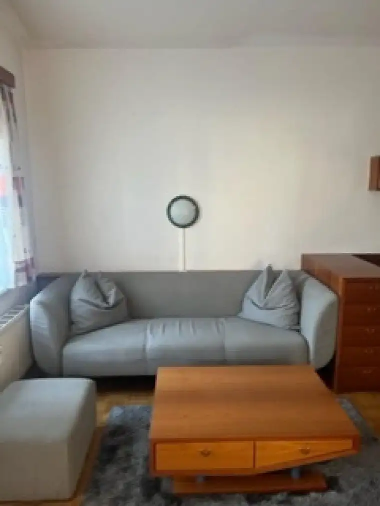 Möblierte Wohnung: 1 Zimmer, Küche-Essen-Wohnen auf 46,52m²