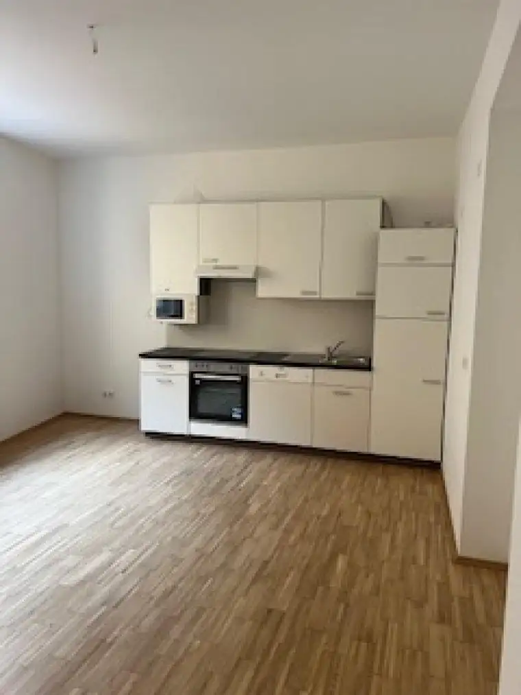 Studententraum- urbanes Wohnen: Klein aber fein- modernes Wohnen in Grazer Toplage nähe Kunsthaus - Sanierte Wohnung mit Einbauküche, Parkett und Fernwärme