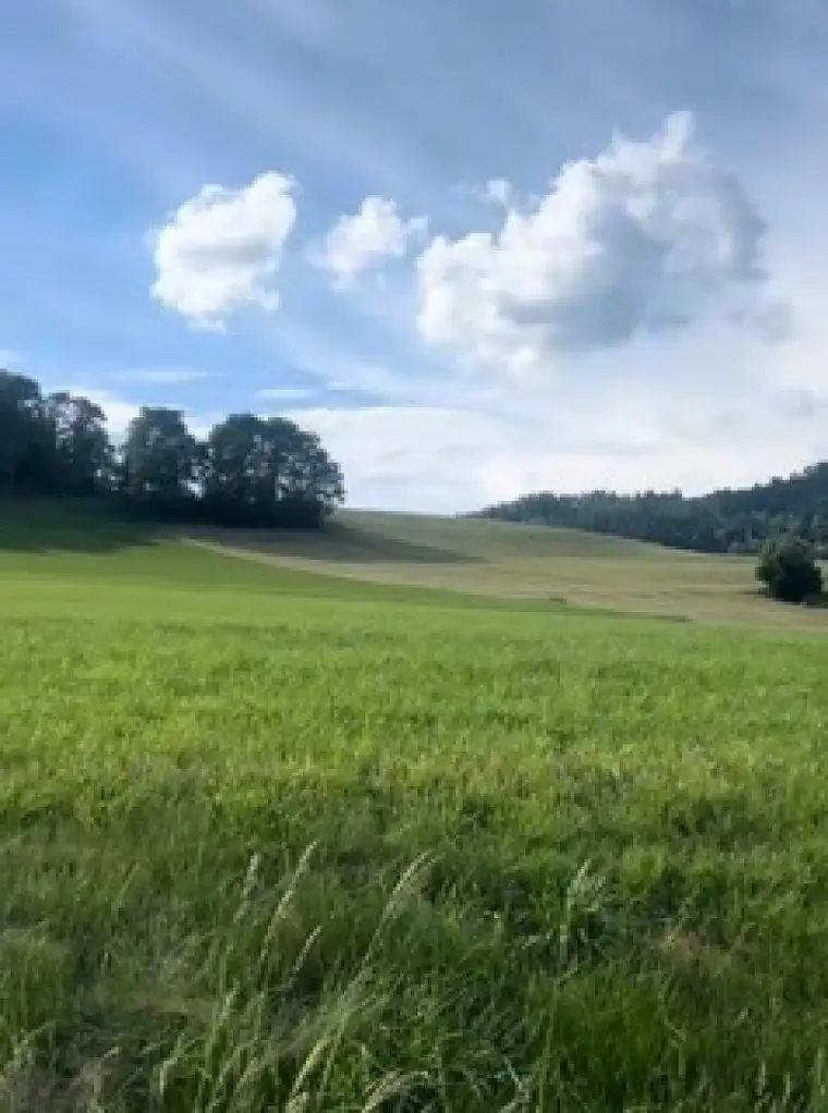 Fünf traumhafte, vollaufgeschlossene Grundstücke mit einem umwerfenden Panoramablick in Latschach am Magdalensberg