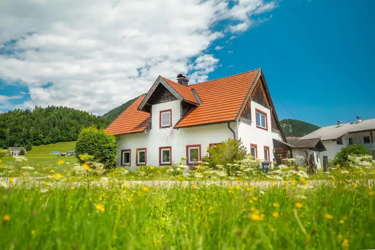 Raum für Neues - Haus mit Doppelgarage im Grünen