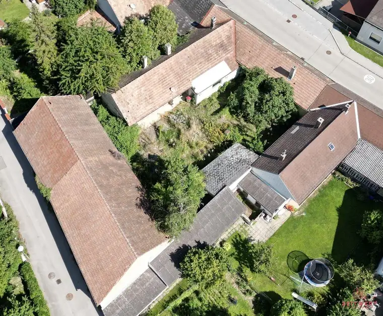 Nina Bachinger, ZEITWERT Immobilien e.U.