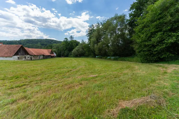 Naturnah wohnen mit bester Infrastruktur: 2.677 m² Grundstücksfläche in ruhiger Grünlage nahe Gleisdorf