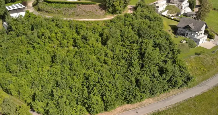 Exklusives Baugrundstück mit traumhafter Aussicht und fertigem Bauplan!