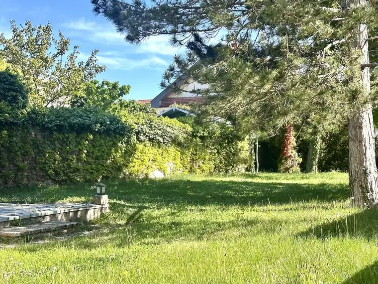 Neu bewertet: Altorthaus mit großem Garten und Ausbaupotenzial in Gumpoldskirchen