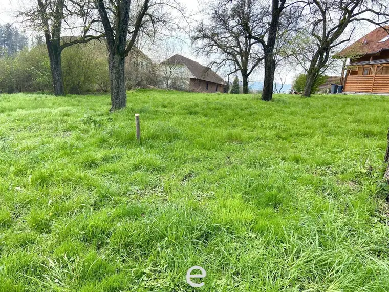 Großzügiges Baugrundstück OHNE BAUVERPFLICHTUNG in Pesendorf