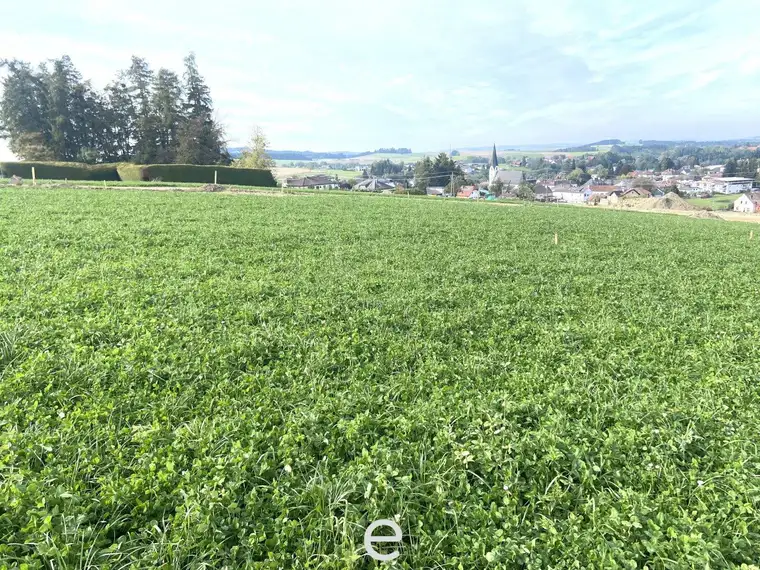 Baugrundstück 177/22 mit 729m² in Eberschwang