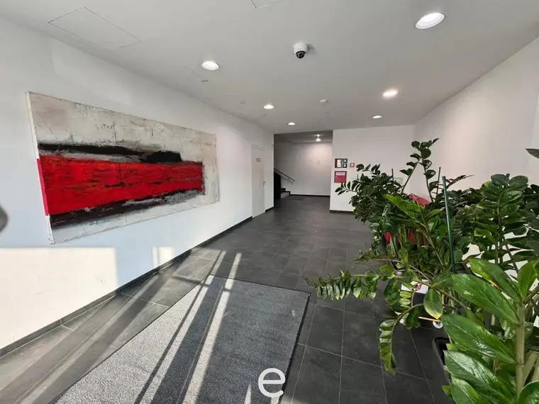Modernes Büro mit 385m² am Winterhafen, Linz Zentrum!