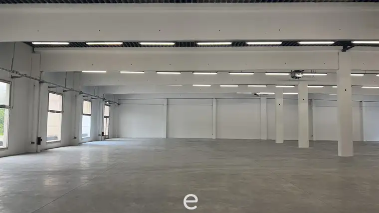 Büro &amp; Lagerhalle direkt an der Triesterstraße B17 zu mieten