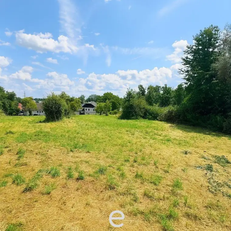 Neuer Preis - Wilder Charme - ein sonniges Grundstück voller Potential!