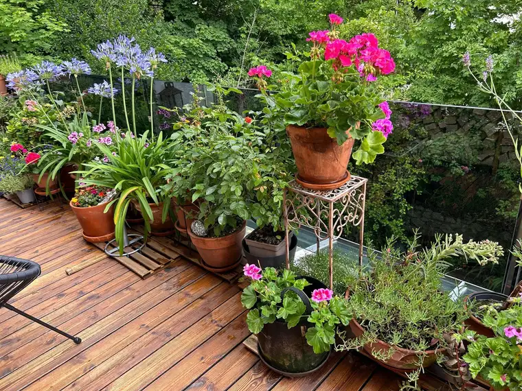 In bester Lage - Nähe Botanischer Garten -sehr schöne, sorgfältig renovierte Altbauwohnung