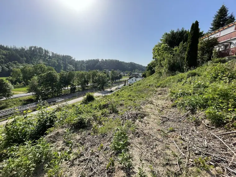 Großzügiges Grundstück in bester Lage von Walding – Sonnige Südhanglage mit Weitblick nahe Linz
