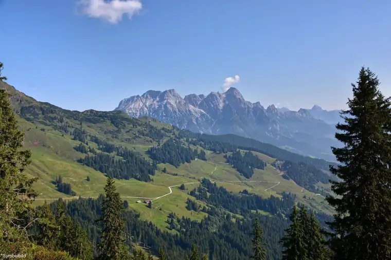 Exklusives Chalet in Hinterglemm – Investition im Share Deal mit bestehender Finanzierung