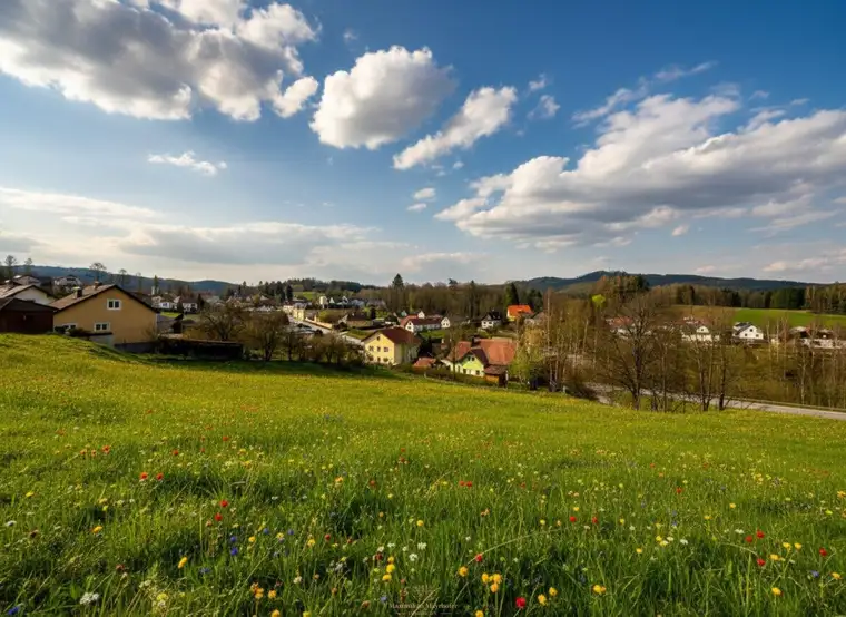 Weitläufiges Grundstück in Bad Großpertholz – Traumlage inmitten der Natur mit Fernblick
