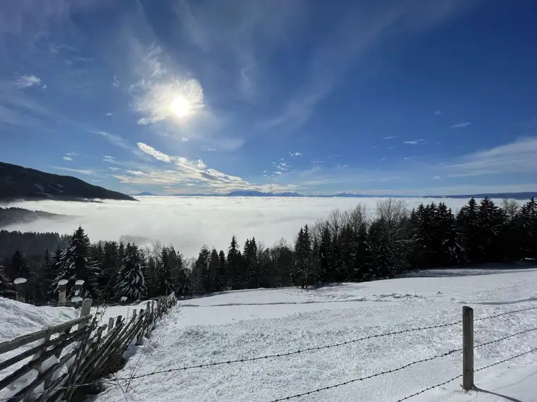Exklusives Naturchalet auf der Koralpe – Ihr perfekter Zweitwohnsitz in Kärnten