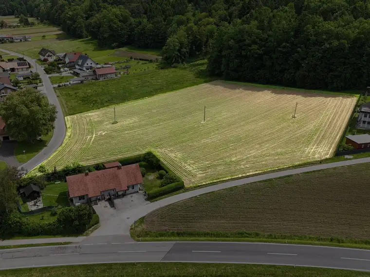 "Green 13": Bauträgergrundstück mit 13 Bauparzellen!