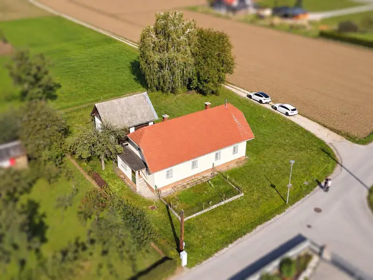 Ihr Haus. Ihr Garten. Ihre Ideen. – Haus mit Bergblick und viel Gestaltungspotenzial in Traundorf
