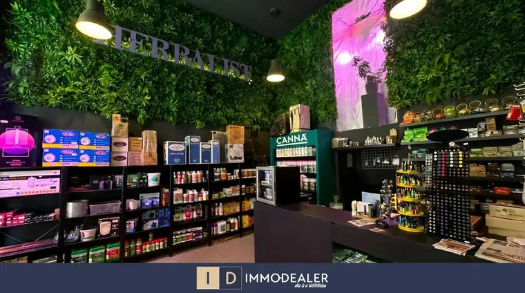 ** AMSTERDAM FEELING AUF DER KAISERSTRAßE - GROWSHOP INKL. WARE SUCHT NEUE/N NACHFOLGER/IN **