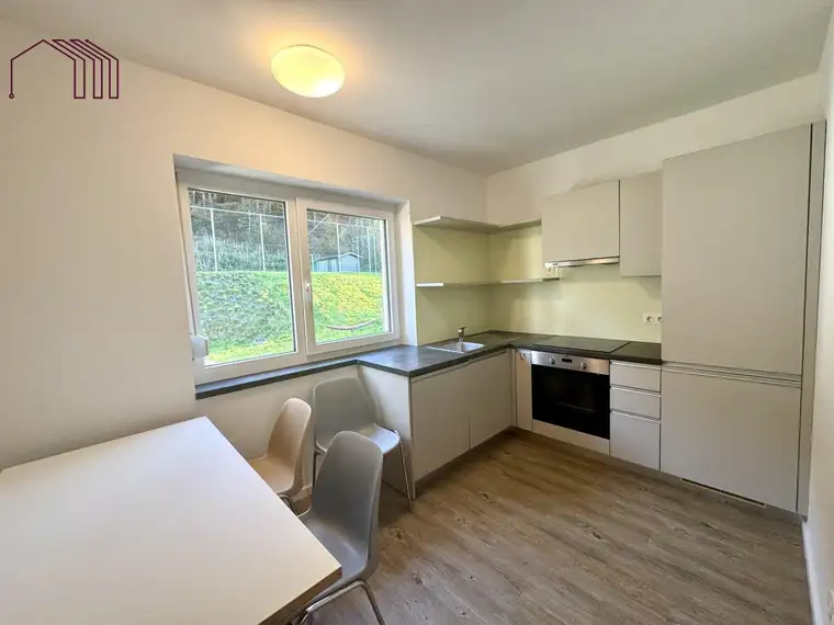 ALLGEMEINGARTEN : Helle 4-Zimmer-Wohnung mit 4 Balkonen und großzügigem Allgemeingarten